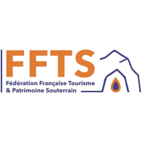 FFTS